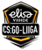 Finnish Esports League