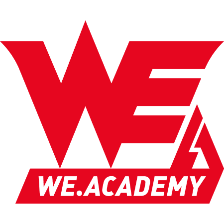 Team WE Academy