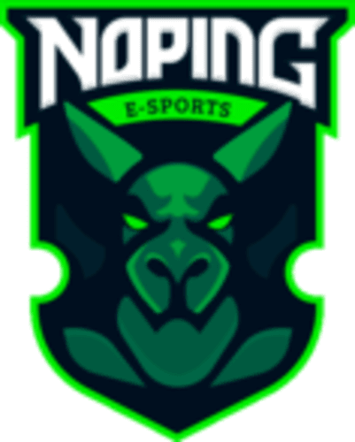 NoPing e-sports