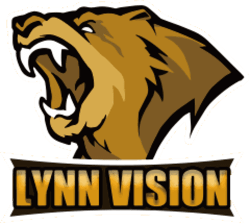 Lynn Vision