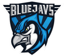 BLUEJAYS logo