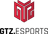 GTZ.Esports logo