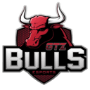 GTZ Bulls logo