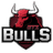 GTZ Bulls logo