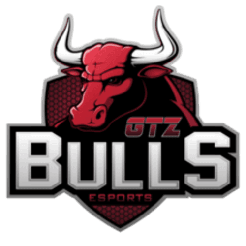 GTZ Bulls