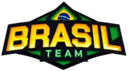 Team Brasil logo