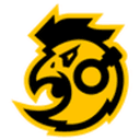 SAWO logo