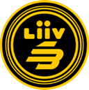 Liiv SANDBOX Youth logo