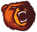 Bears logo