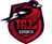 TGJ Esports logo