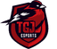 TGJ Esports logo