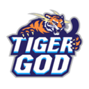 TIGER GOD logo