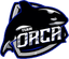 Team Orca logo