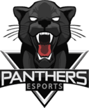 Panthers logo