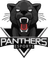 Panthers logo