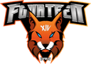 Fourteen Esports logo