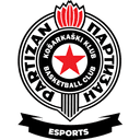 Partizan Esports logo