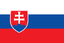 Team Slovakia logo