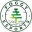 Foggy Esports logo