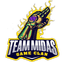 Team Midas logo