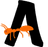 Another NA Team logo