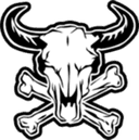 DomiNation logo