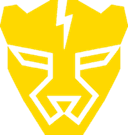 Fearless Cheetahs logo