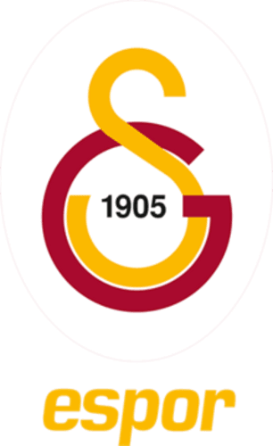 Galatasaray Esports