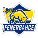 1907 Fenerbahçe Esports logo