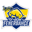 1907 Fenerbahçe Esports logo