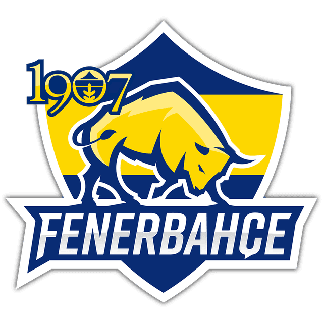 1907 Fenerbahçe Esports