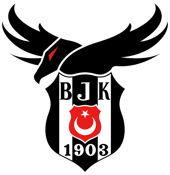 Beşiktaş Esports